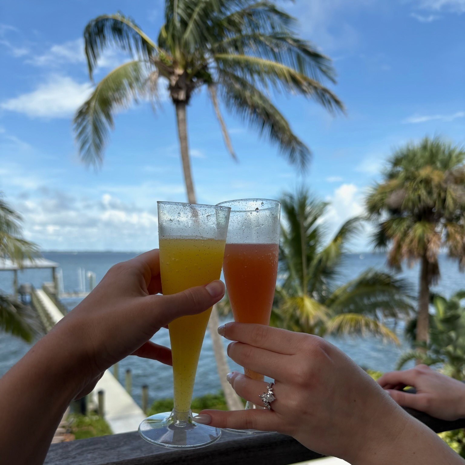 Farewell brunch mimosas